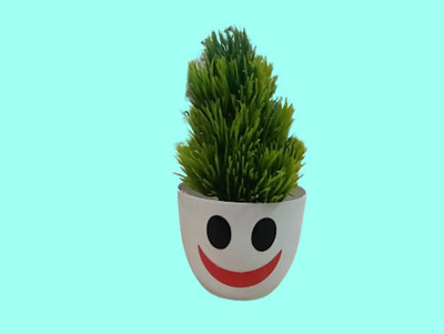 BZILO Cute Artificial Plants for Home Décor Emoji Varient Design Pack of 1 B29 Bonsai Wild Artificial Plant  with Pot(10 cm, Multicolor)