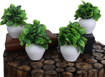 KanRaj Artificial bonsai wild mini rose set of 4 Green Bonsai Wild Artificial Plant  with Pot(13 cm, Green)