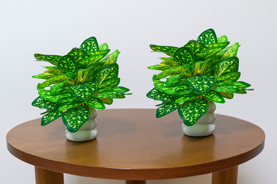 aunique Natural Looking Money Plant For Home/Office decor set of 2 Bonsai Artificial Plant  with Pot(22 cm, Yellow, Green)