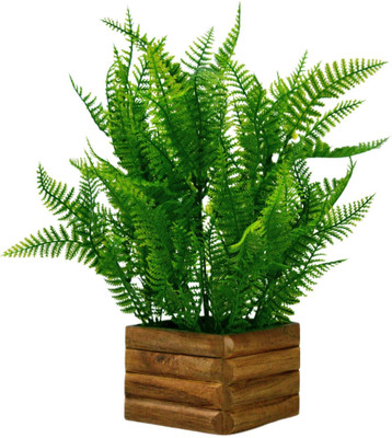 fancymart Natural Look Real Touch Christmas Leaves Artificial Plant  with Pot(28 cm, Green)