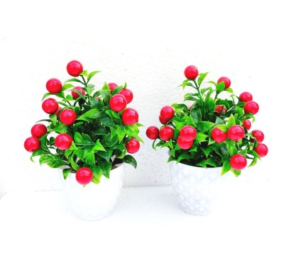 shanol Red cheery plant for home decoration pair set of 2 small table plant for office ,balcony ,dining table. Home decoration special. Bonsai Artificial Plant  with Pot(15 cm, Red, Green)