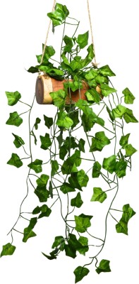 Flipkart Perfect Homes Home decorative Falling Leaves Hanging in Wood Buckle Artificial Plant  with Pot(43 cm, Multicolor, Green)