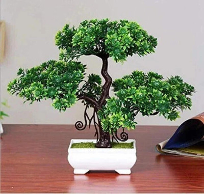 deconte Artificial Plants Green Tree for Home Decor Show Style Bonsai Wild Artificial Plant  with Pot(23 cm, Green)