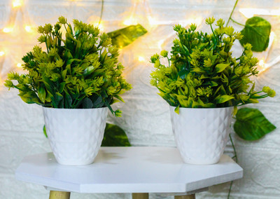 Leafora The Artificial Plant with Pot for Home doors Decor Artificial Plant  with Pot(18 cm, Green)