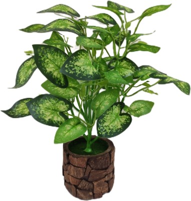 BAARIG Natural Money Plant with Stylish Coconut Pot Artificial Plant  with Pot(32 cm, Green, Yellow)