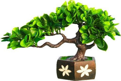 Leafora Wild Artificial Plant  with Pot(22 cm, Green)