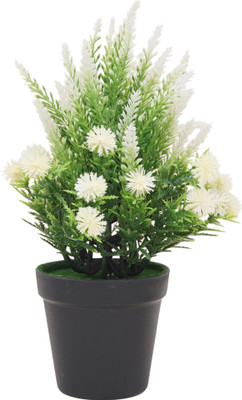 Yash Enterprises Yash Enterprises White Bonsai Wild Artificial Plant  with Pot(30 cm, White)