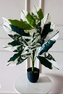 De Gardenia Artificial Caladium Plant – 78 cm Tall Artificial Plant  with Pot(78 cm, Green)