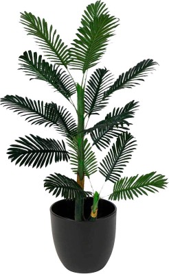 KAYKON Big Artificial Palm Tree Tall Areca 5.75 Feet Artificial Plant(175 cm, Green)