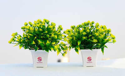 Leafora Wild Artificial Plant  with Pot(15 cm, Green)