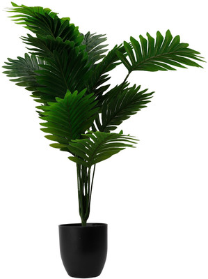GLAMIFY Artificial Palm Plant with White Pot – 75 cm Artificial Plant with Pot Bonsai Wild Artificial Plant  with Pot(75 cm, Green)