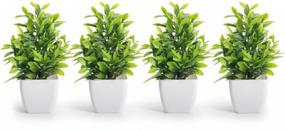 HOKIRA Pack of 4 Artificial Green Plants in White Pot – Realistic Faux Leaf Decor, Wild Artificial Plant  with Pot(15 cm, Green)