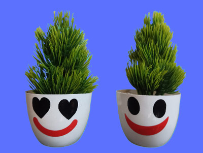 BZILO Cute Artificial Plants for Home Décor Emoji Varient Design Pack of 2 P12 Bonsai Wild Artificial Plant  with Pot(10 cm, Multicolor)