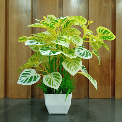 Decogreen POTHOS Y, SQ POT GRASS Home, Office Real Touch Money P, Premium Design Bonsai Artificial Plant  with Pot(30 cm, Yellow, Green)