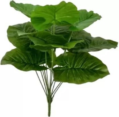 well art gallery 12 Long Leaves Artificial Plant (50 cm, Multi) for Home, Office, Wedding Decor Artificial Plant(50 cm, Green)