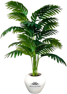 Petals and Pines Mini Artificial Areca Palm – 60 cm, 18 Leaves without Pot | Indoor Use Artificial Plant(60 cm, Multicolor)