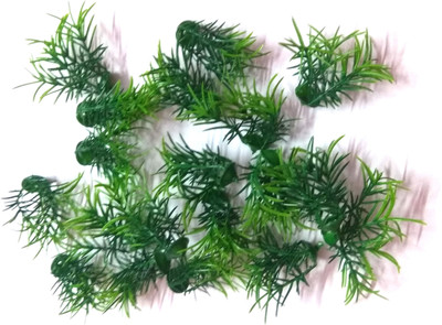 nawani School Project Grass 1 Packet (Around 40 Pic Grass), Size 4/4 cm Artificial Plant(4 cm, Green)