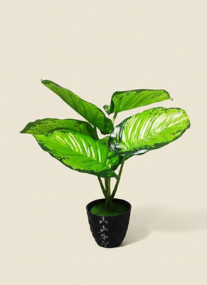 plantworld 6 Long Leaves Artificial Plant Bonsai Wild Artificial Plant  with Pot(25 cm, Multicolor)