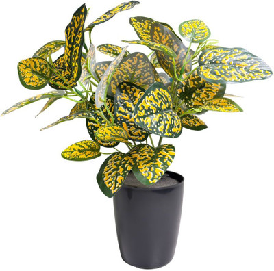 De Gardenia Artificial Croton Plant for Home & Office Décor Artificial Plant(30 cm, Yellow)