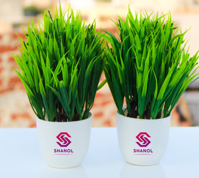 Leafora Artificial wild green grass plant for Home Garden and Office doors Decoration Wild Artificial Plant  with Pot(20 cm, Green)