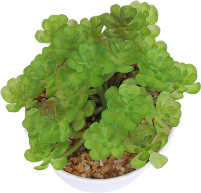 KUBER INDUSTRIES Artificial Plants For Home Décor|Fake Plants With Pot (Green) Wild Artificial Plant  with Pot(11 cm, Green)