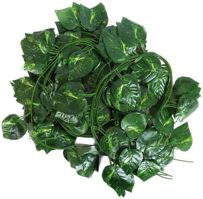 VP Quality Artificial Fancy Wall Hanging Garland Money Plant Leaf Bail Pak2_29 Artificial Plant(0 cm, Green)