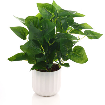 GREENZY GZ-106 Bonsai Artificial Plant  with Pot(35 cm, Green)