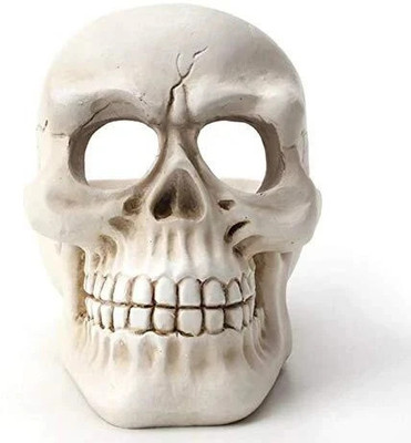 Inara Inara Skull Cigarette Ashtray Smoking for Home, Office and Bar White Polyresin Ashtray(Pack of 1)