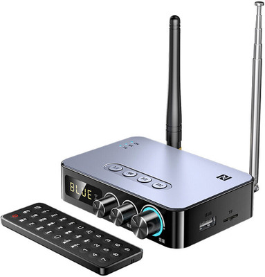 Etzin M9 Pro 128 GB MP3 Player(Silver Bluetooth 5.1 TX RX Transmitter Receiver Audio Adapter 4 in 1 EPL-1095WA, 0 Display)