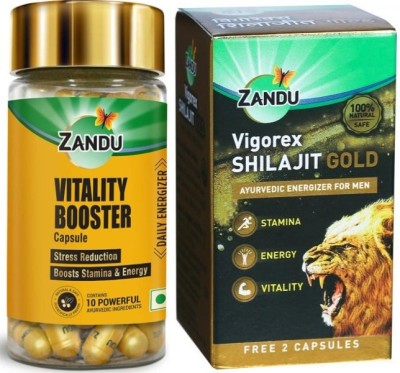 ZANDU Vitality Booster 60 Caps and Vigorex shilajit Gold 20 Caps(Pack of 2)