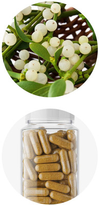 ZYREX Mistletoe Extract Capsules 90 Capsules Pack.550mg Per Serving.(90 Capsules)