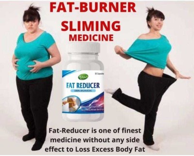 VITASTA FAT REDUCER AYURVEDIC FAT BURNER TO