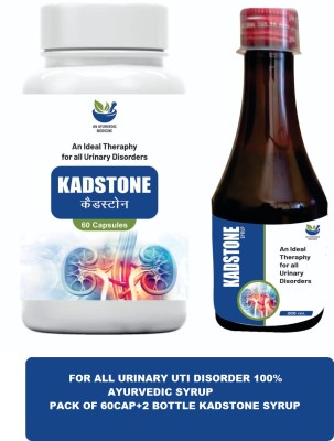 Kadcure Kadstone Sugar Free Syrup For Kidney Health ,Improves Kidney Function Naturally(Pack of 3)