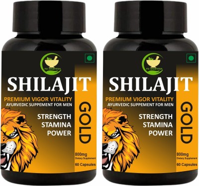 FIJ AYURVEDA Shilajit Gold Supports Strength, Power & Stamina for Men Women – 800mg Pack of 2(Pack of 2)