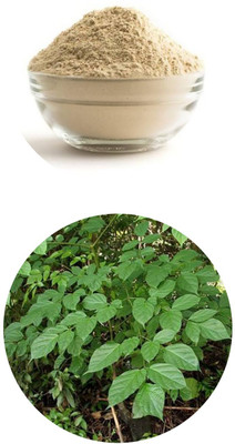 ZYREX Shyonak / Oroxylum Indicum Leaf Powder-300 Gram Pack(300 g)