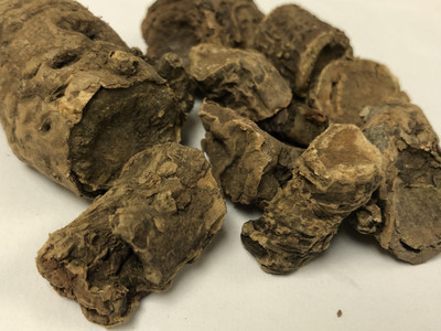 Nutrixia Pashanbhed Lakdi - Pashan Bhed (Patharchatta) Root -Pakhanved Jadd(450 g)