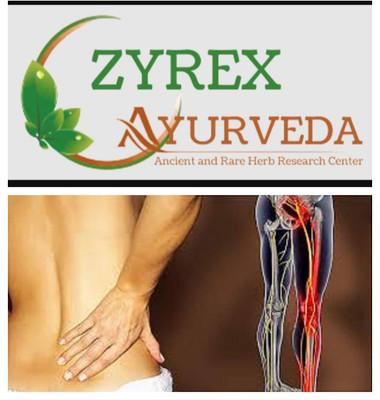 ZYREX Sciatica (Sytica) Pain Nill Tablets -120 Tablets Very Helpfull in Sciatica(120 Tablets)