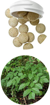 VEDIKA Shyonak / Oroxylum Indicum Leaf Tablets-60 Tablets Pack.Each 650mg(60 Tablets)