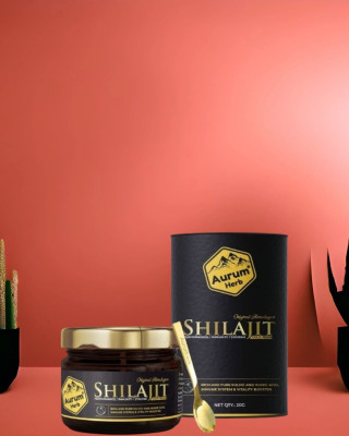 AURUM HERB Premium Himalayan Shilajit – Energy and Testosterone Support Resin(20 g)