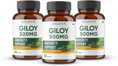 Ayuvya Giloy Capsules - 500mg For Support Immunity & Purifying Blood(Pack of 3, 60 Capsules)