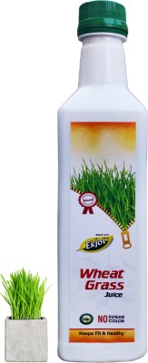 Ekjot Wheat Grass Juice for Immunity, Detoxification, Fresh Sprouted Wheatgrass |(500 ml)