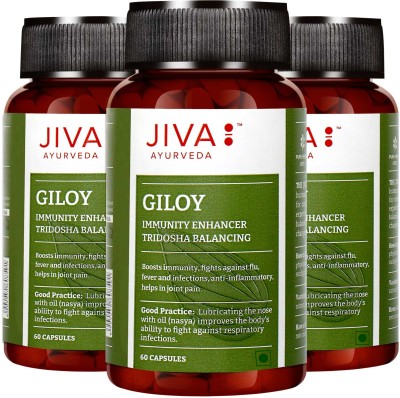 JIVA Giloy Capsule (60 cap)(Pack of 3)