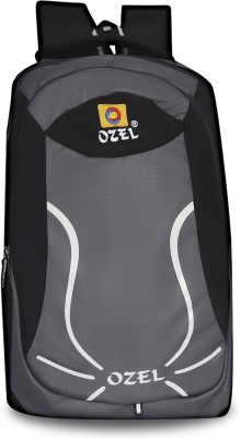 OZEL LEO GREY 35 L Backpack(Grey)