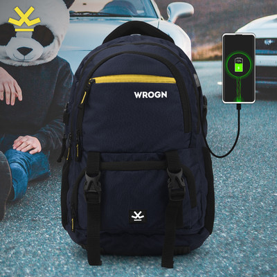 WROGN ASHPER Unisex with USB Port and Rain Cover 40 L Laptop Backpack(Blue)