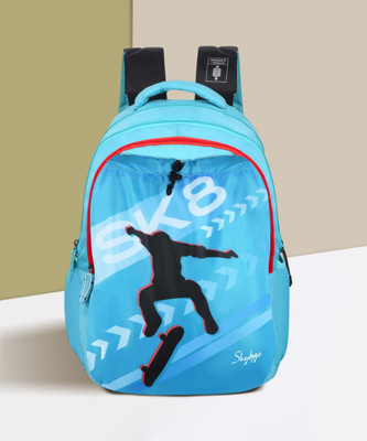 SKYBAGS Squad Nxt 03 Sky Blue 40 L Backpack(Blue)