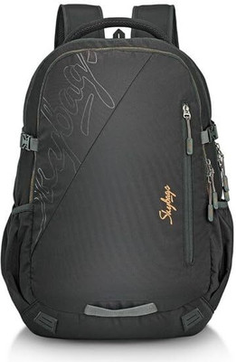SKYBAGS Teckie 02 38 L Laptop Backpack(Black)