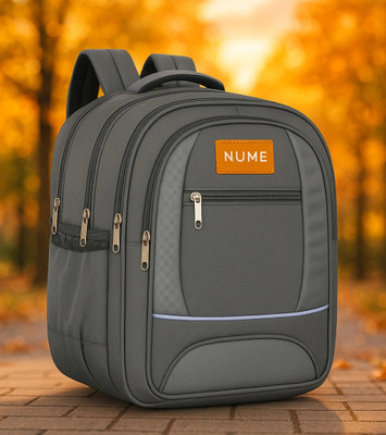 NuMe Large Multi-Compartment School Bag Class 6 to 12 45 L Backpack(Grey)