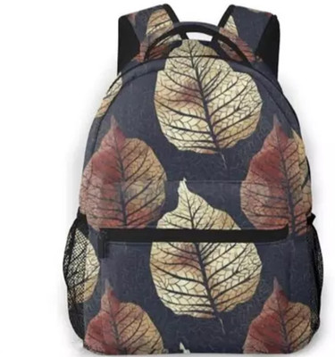 Shishtha PC CANVAS-01_ab 30 L Backpack(Multicolor)