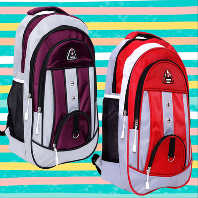 Zaxcer Combo College bag for men women Daily use backpack for unisex combo 30 L Laptop Backpack(Multicolor)