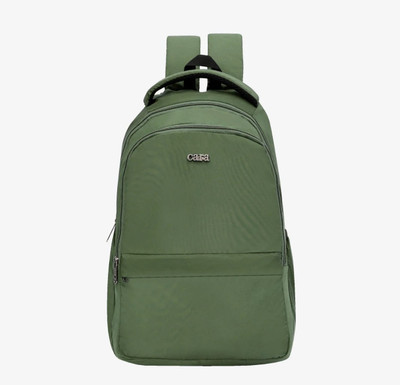 LAMISA Day Ease Backpack 20 L Backpack(Green)